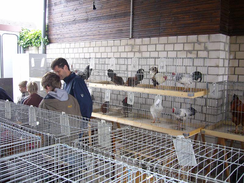 Haehnewettkraehen 2009 015.jpg